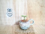 1268.bud 粘土の鉢植え マグカップ