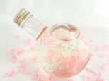 ハーバリウムランプ～春めき桜～の画像