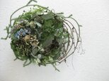 鳥の巣wreath-spring-の画像