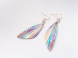 rainbow shell earringの画像