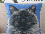 ペットクッションカバー 45×45cm 猫 ネコ バーマンキャット jubileecushionca002の画像