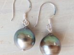 SILVER tahitian pearl simple pierceの画像