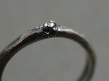 よく見たらカエルリング　～アマガエルバージョン～　たぶん世界で一番小さい蛙の指輪の画像