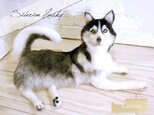 シベリアンハスキー　羊毛フェルト　ハスキー　犬　リアル　大き目サイズの画像