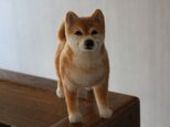 羊毛フェルト　リアル柴犬　Shiba Inu　・・・　の画像