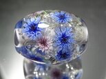 矢車菊のとんぼ玉（ガラス玉）の画像