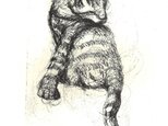 猫の銅版画Bの画像