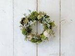 Green wreath ・たくさんのツイッグの画像