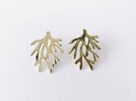 coral studs/goldの画像