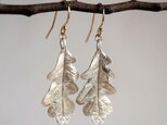 Oak leaf earrings {EP053SV}の画像