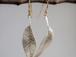 Elm leaf earrings {EP054SV}