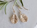 Feijoa leaf earrings (Small) [EP52K10]の画像