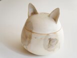 ネコのポット  cat potの画像