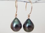 K14GF BIG tahitian pearl simple pierceの画像