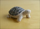 ◯ かめさん 5,5 cm 添配の画像