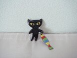 黒猫　しましまお魚いいでしょう♪の画像