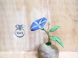 1387.bud 粘土の鉢植え アサガオ