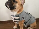 犬服【オーダー製作】タンクトップ・ペンギン柄（グレー）の画像