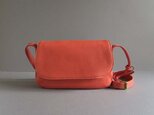 ・・S様ご注文作品・・plain shoulder bag ( red )の画像
