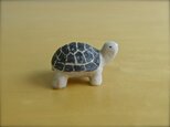 ◯ かめさん 5 cm 添配の画像