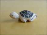 ◯ かめさん 5,5 cm 添配の画像