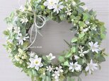 再販　 白い花とグリーンのリース　初春の頃に：水仙　白　緑　リボン