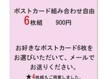 ポストカード　組み合わせ自由　6枚組の画像