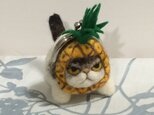 再出品*がま口＊エキゾック*パイナップルの画像