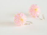 桜まめてまりピアス／イヤリングの画像