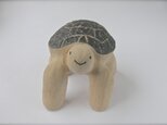 ◯  かめさんの添配  7 cmの画像