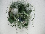 流れるwreathの画像