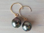 K14GF tahitian pearl simple pierce