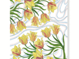 ポストカード　黄色いチューリップ（２枚組）の画像