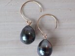 K14GF tahitian pearl simple pierceの画像