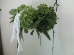 風に揺れるwreathーアナベルの画像