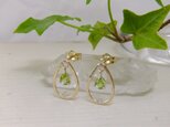 14kgf＊ペリドットピアス