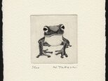かえる・I / 銅版画 （作品のみ）の画像