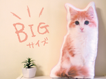 ビッグサイズ　犬　猫　ペット　動物　フレブル　クッション　ぬいぐるみ　メモリアル　プレゼント　オーダーメイド　写真　名前の画像