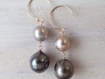 K14GF gold & dark gray tahitian pearl double pierceの画像