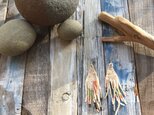 kiwi ∴ ピアスの画像