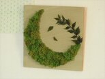 【M様専用】『苔の月』◆趣（をかし）～苔アート（壁掛け）～の画像