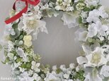 white frost wreath:白いクリスマスローズ