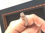 S様ご注文フトアゴの指輪とネックレスの画像