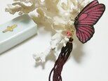蝶のピアス 小 (マダラ系)の画像
