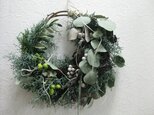 森のwreath-ユーカリとブルーアイスの画像