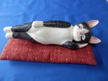 ねむりネコ（猫）
