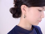Fruit / earrings - Tourmaline Quartzの画像