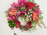 Tropical wreath VIの画像