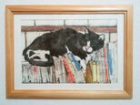 猫と本（原画）水彩・ペン画の画像