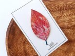 紅い木の葉のブローチの画像